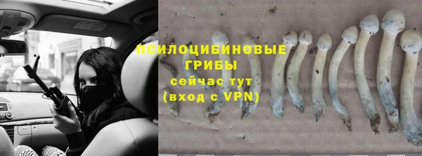 тгк Алексеевка