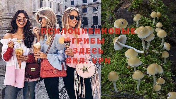 тгк Алексеевка