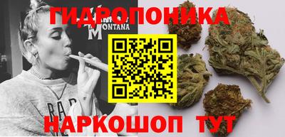 apvp Гусиноозёрск