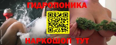 apvp Гусиноозёрск